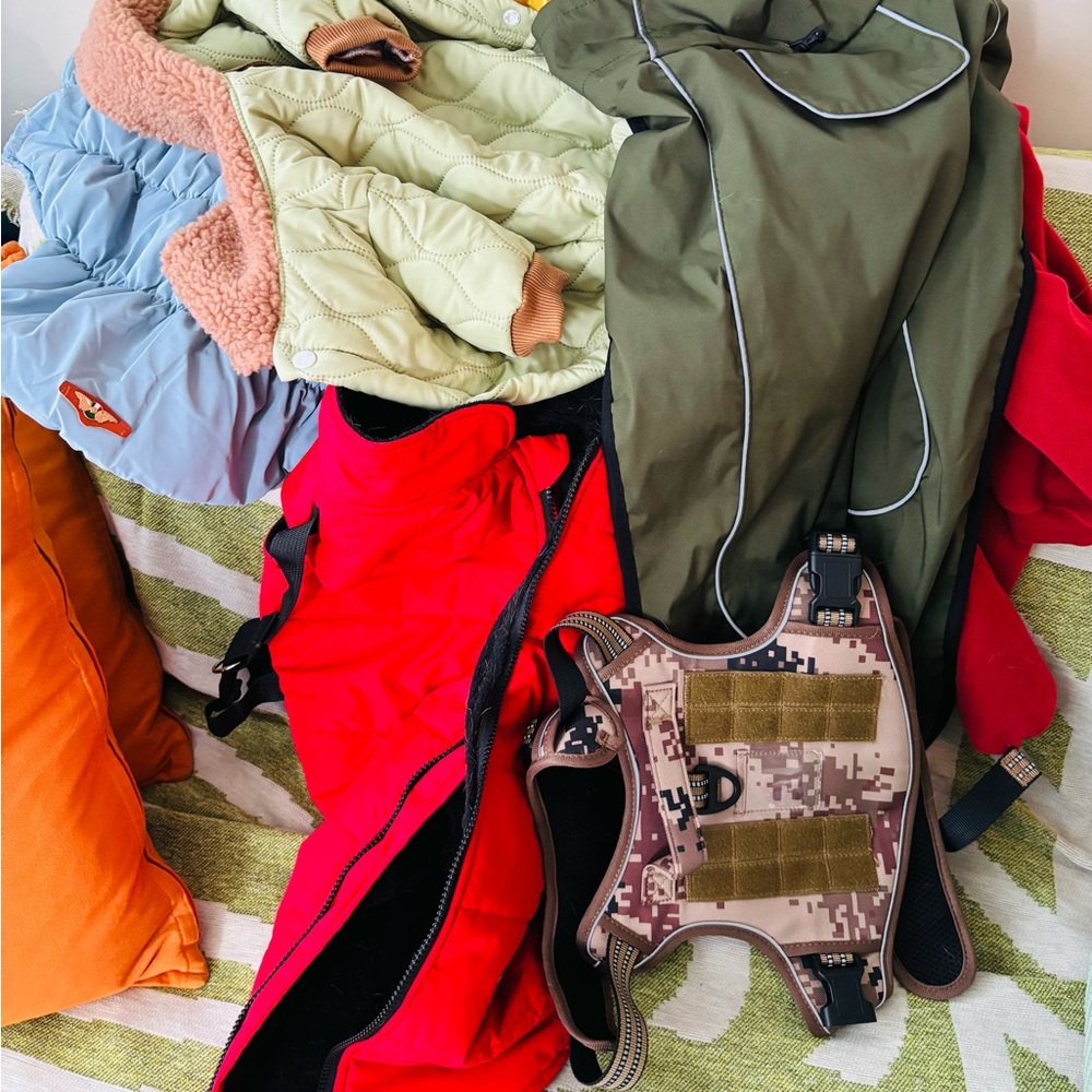 Red Outdoor Jacket with Digital Camo Dog Harness